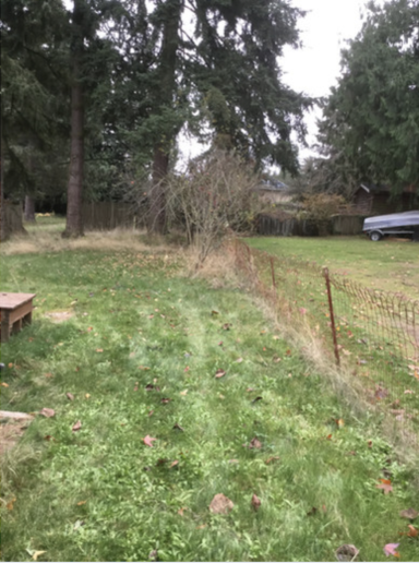 Wire fence removal